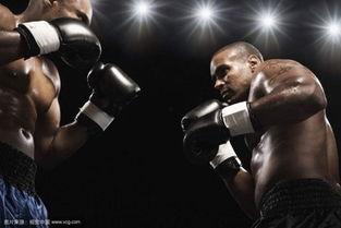 山西拳击成人比赛视频直播,热血对决，激情燃烧