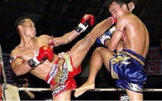 山西拳击成人比赛视频直播,热血对决，激情燃烧