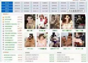 成人 小说 视频