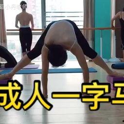 零舞蹈基础成人教学视频,跟随舞蹈教学视频轻松舞动人生