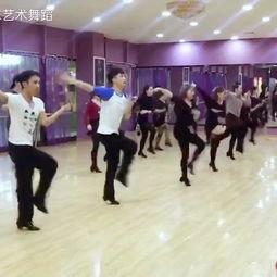 安华成人舞蹈视频欣赏,优雅舞步中的情感释放与艺术魅力