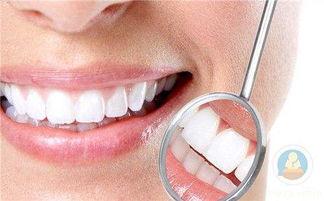 口腔成人牙位图解视频,揭秘牙齿布局与护理之道