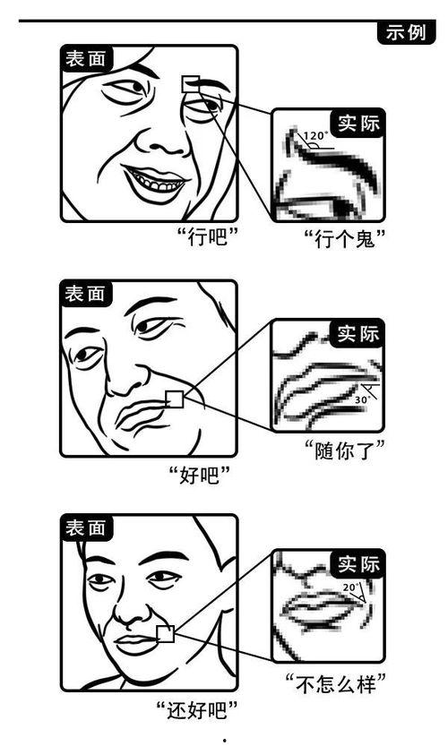 活力板成人教程视频,轻松入门，享受健康运动乐趣