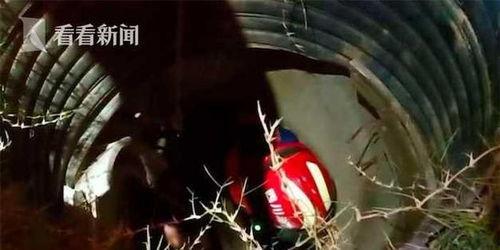 成人掉入下水道视频播放,成人意外掉入下水道，视频记录惊心动魄一幕