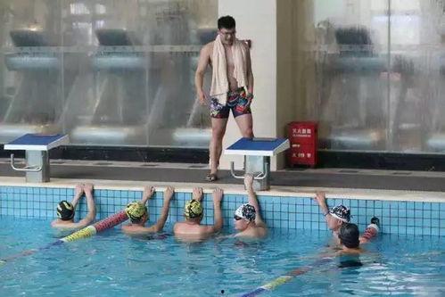 游泳班成人训练视频教学,轻松入门，掌握技巧