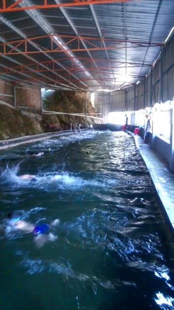 游泳班成人训练视频教学,轻松入门，掌握技巧