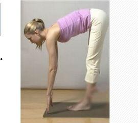 成人形体瑜伽动作视频,跟随视频轻松打造完美身材