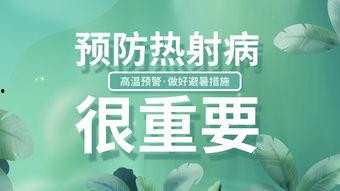 成人益智知识科普视频大全,视频大全带你探索大脑潜能