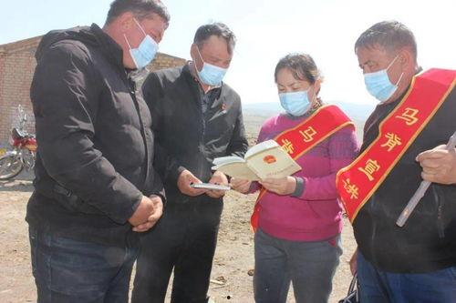 成人学画画老杨视频大全,从零基础到大师之路