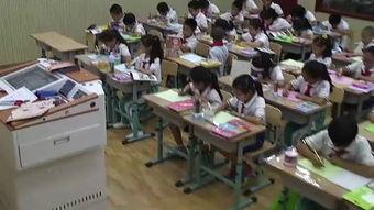 成人教育线下上课视频教学,成人教育课程概览