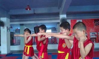 成人散打搏击培训视频