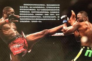 成人散打搏击培训视频