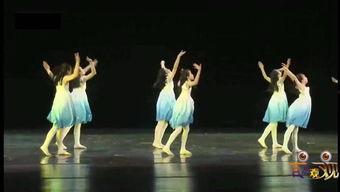 成人舞蹈橡树林视频教学,轻松入门成人舞蹈世界