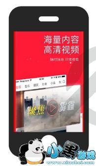 成人炮炮视频下载安装,一键操作指南