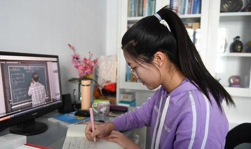 成人视频网在线,揭秘行业现状与未来趋势