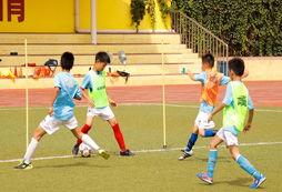 成人踢球训练视频,成人踢球技巧解析与实战演练