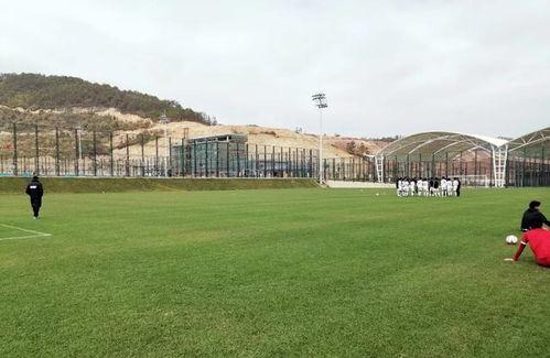 成人踢球训练视频,成人踢球技巧解析与实战演练