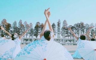 茶山成人古典舞蹈视频,穿越时空的优雅演绎