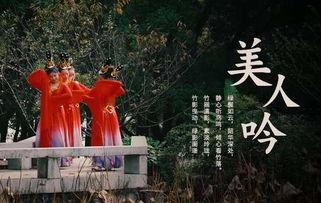 茶山成人古典舞蹈视频,穿越时空的优雅演绎