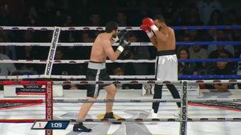 成人拳击视频教学全集,成人拳击视频教学全集精华解析